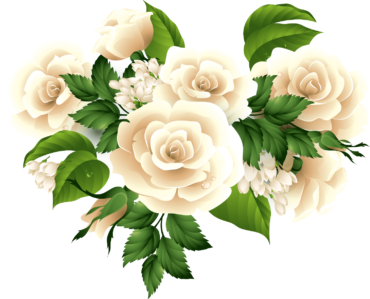 Beautiful roses, clipart, white roses