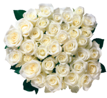 Bouquet of white roses, png, roses