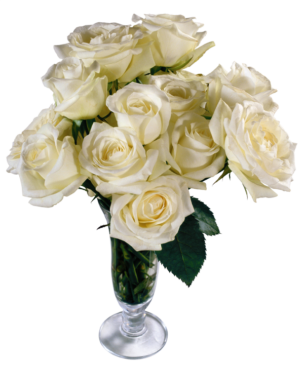 Bouquet of white, PNG, roses