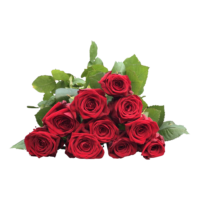 Bouquet of red roses