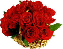 Basket of red roses