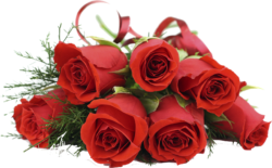 Red roses, png
