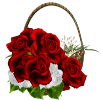 Basket of red roses, png, flower