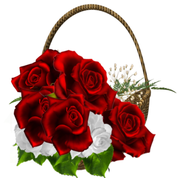 Basket of red roses, png, flower