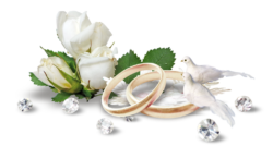 Happy wedding day
