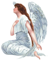 Angel, love, heaven