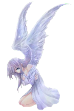 Angel girl, anime