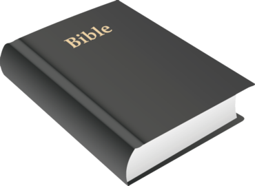 Bible, book