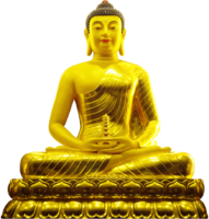 The Golden Buddha