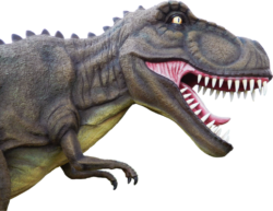 Tyrannosaurus, dinosaur