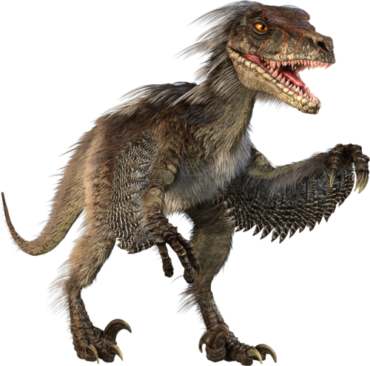 Velociraptor, dinosaur