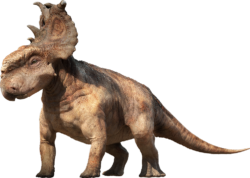 Pachyrhinosaurus