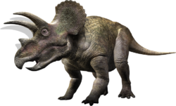 Ceratopsians