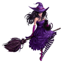 Witch on a broom