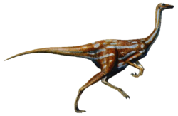 Gallimim dinosaur