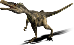 Deinonychus