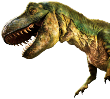 Tyrannosaurus Rex exhibit