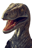 Velociraptor