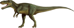 Tyrannosaurus, dinosaur