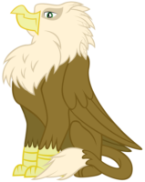 Pony griffin Gilda