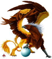 Griffons hmm5