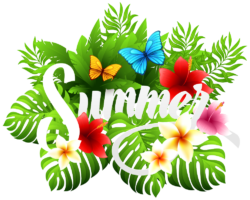 summer, grass, flowers, heat