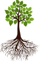 Tree, roots