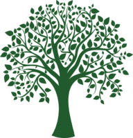 Tree Pattern