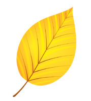 Yellow leaf