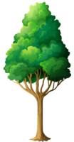 Tree drawing