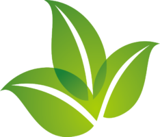 Green leaf eco