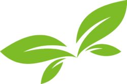 Green leaf logo