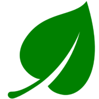 Leaf icon