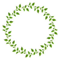 Leaf icon