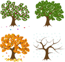 Tree by season