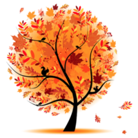 Tree, autumn