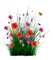 Wild flowers