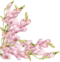 Spring flowers