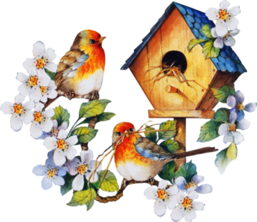Birds, birdhouse, flowers