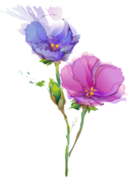 Watercolor flowers, spring