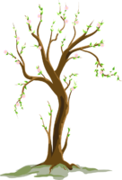 Spring tree