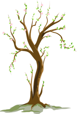 Spring tree