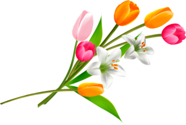 Цветы, весна, тюльпаны