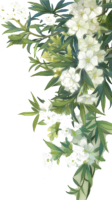 Houseplant