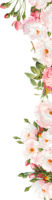 Peonies, print, png, bouquet