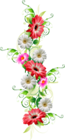 Bouquet of gerberas