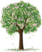 Flowering tree