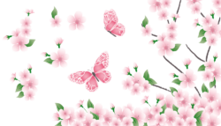 Butterfly and sakura background