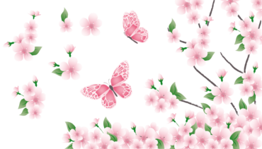 Butterfly and sakura background