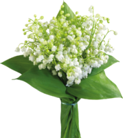 Bouquet of lilies of the valley